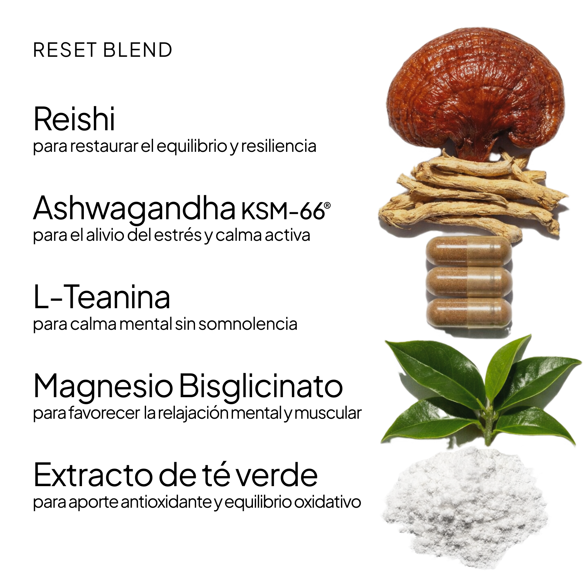 Reset Blend